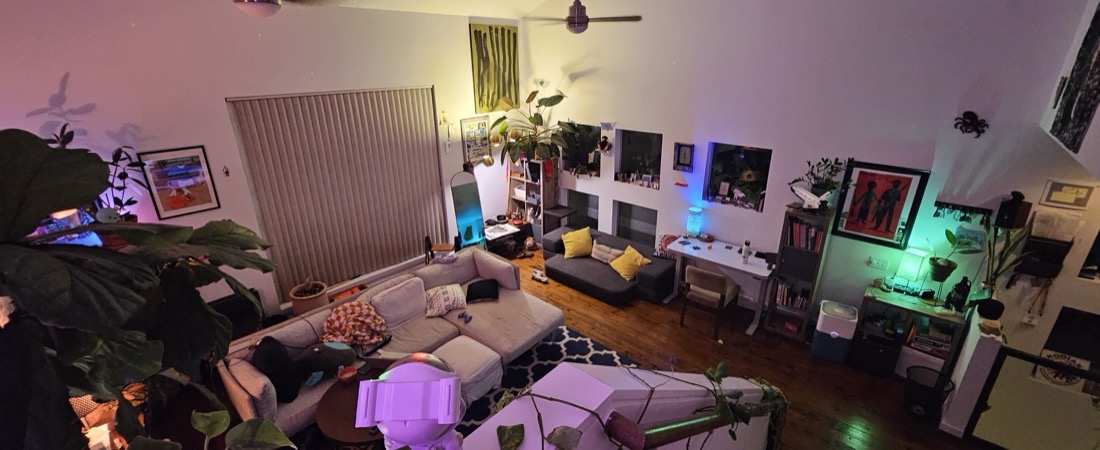 The Space, with plants, sofas, and coloured evening light.